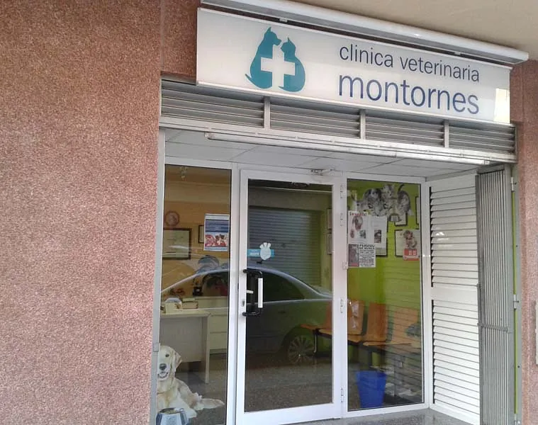 Clínica Veterinaria Montornes instalaciones 4